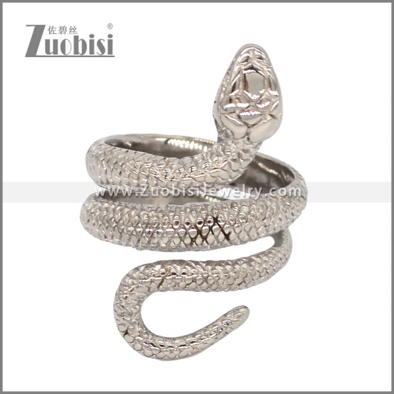 Stainless Steel Ring r009672S