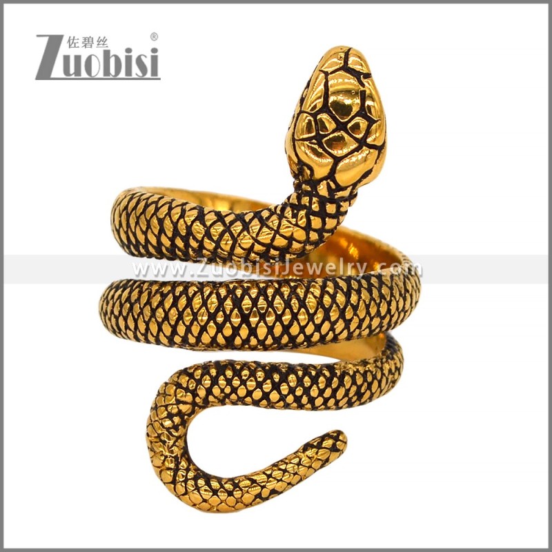 Stainless Steel Ring r009672GH