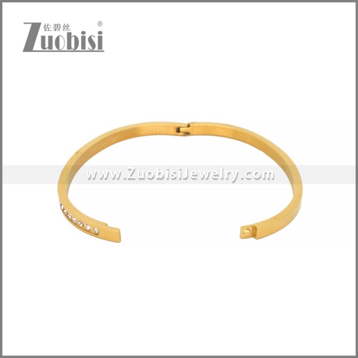 Stainless Steel Bangles b010470