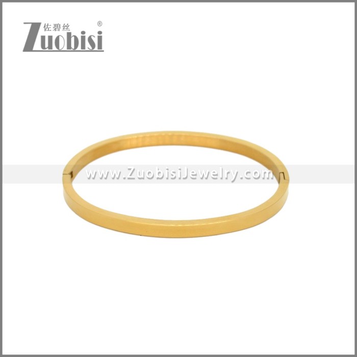 Stainless Steel Bangles b010470