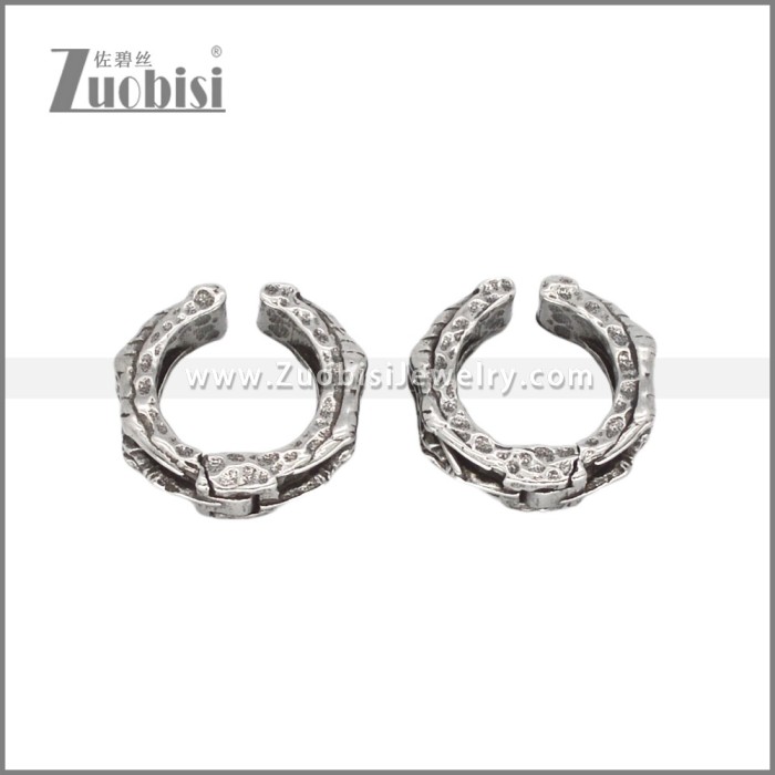 Stainless Steel Earrings e002324