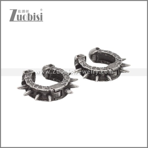 Stainless Steel Earrings e002320