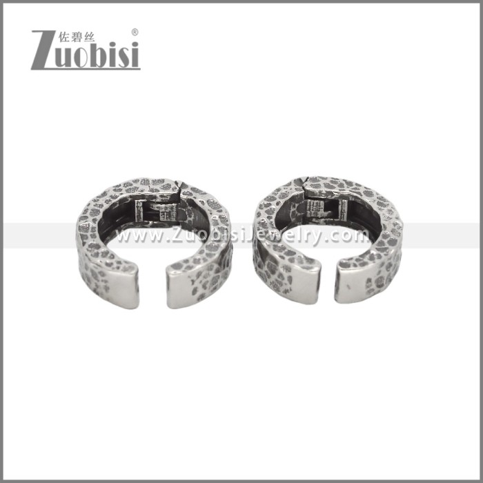 Stainless Steel Earrings e002313