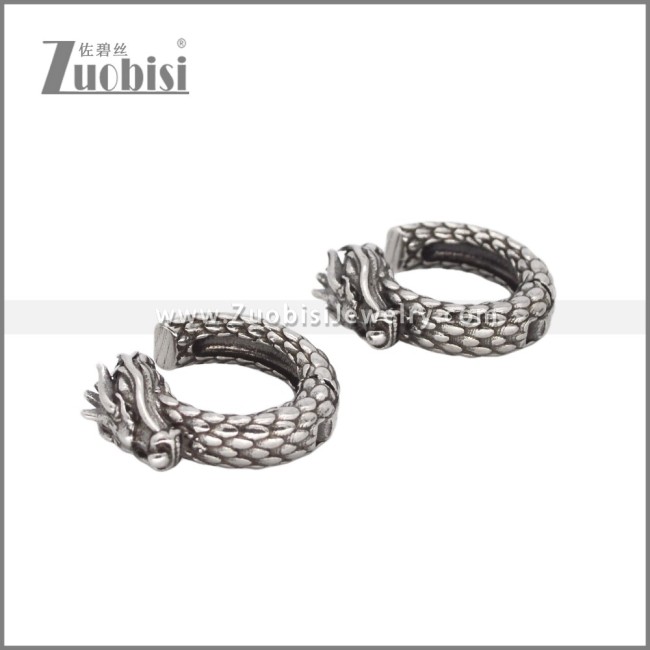 Stainless Steel Earrings e002315