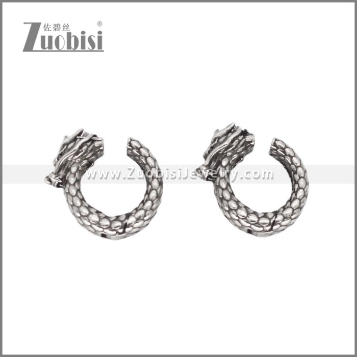 Stainless Steel Earrings e002315