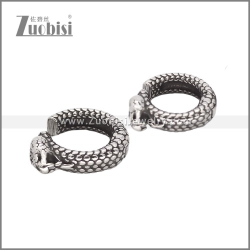 Stainless Steel Earrings e002314