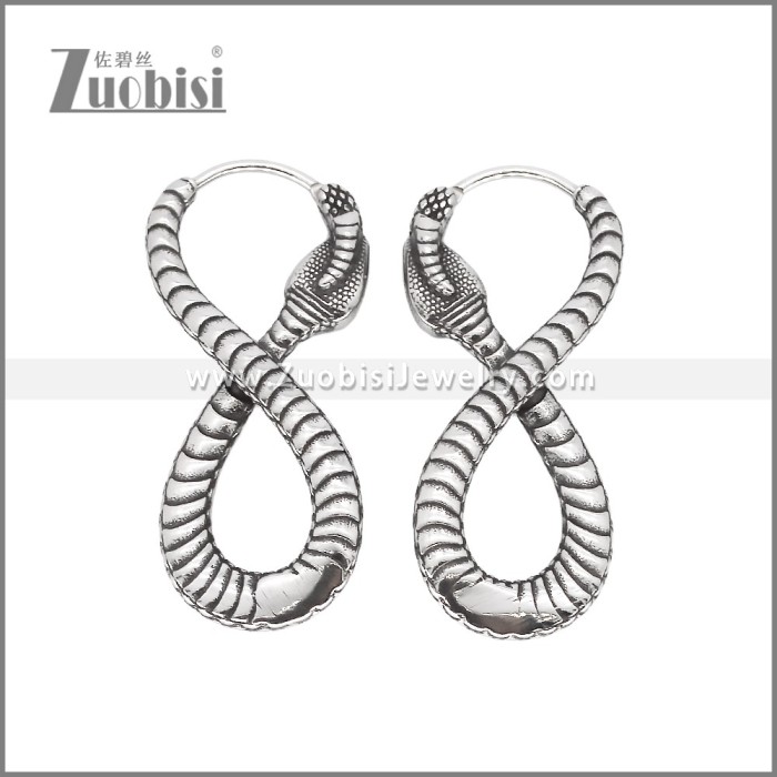 Stainless Steel Earrings e002340