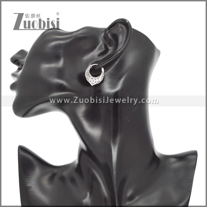 Stainless Steel Earrings e002326