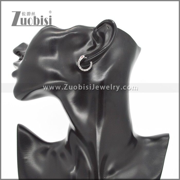Stainless Steel Earrings e002325
