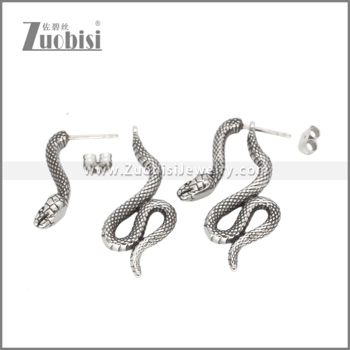 Stainless Steel Earrings e002353