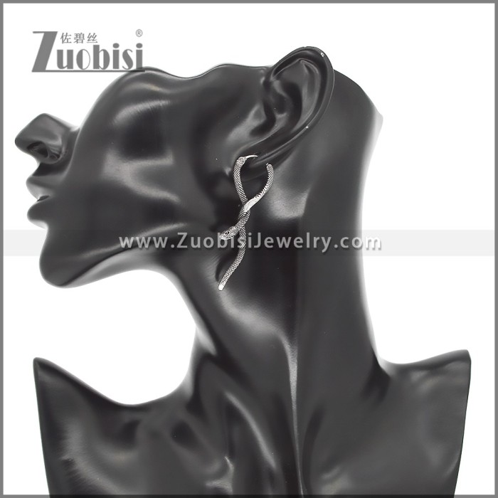Stainless Steel Earrings e002344