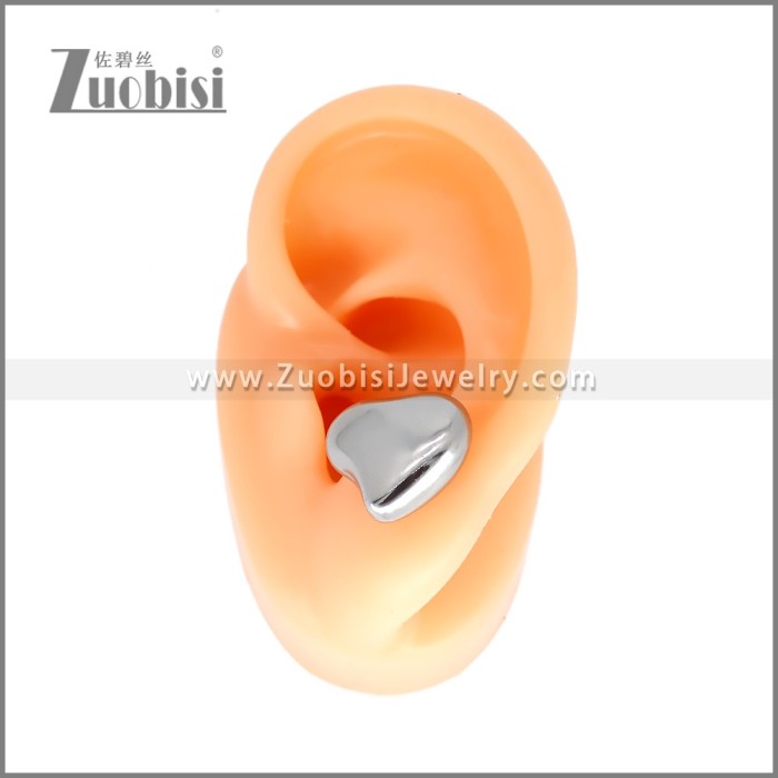 Stainless Steel Earrings e002349S3