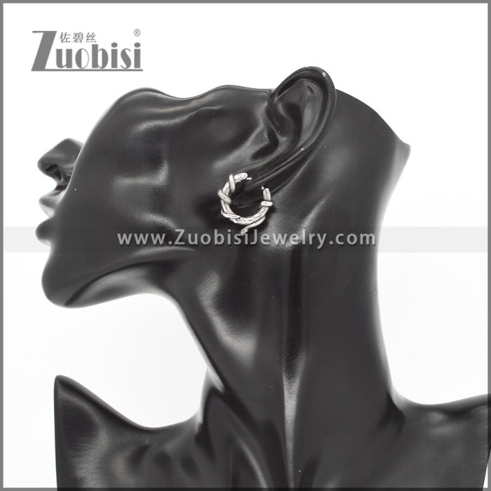 Stainless Steel Earrings e002327