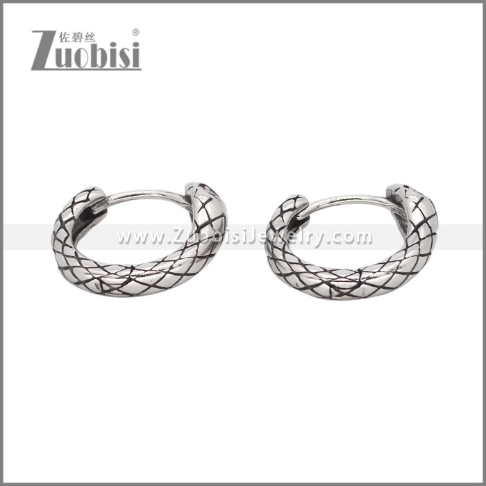 Stainless Steel Earrings e002325