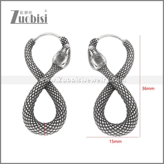 Stainless Steel Earrings e002340
