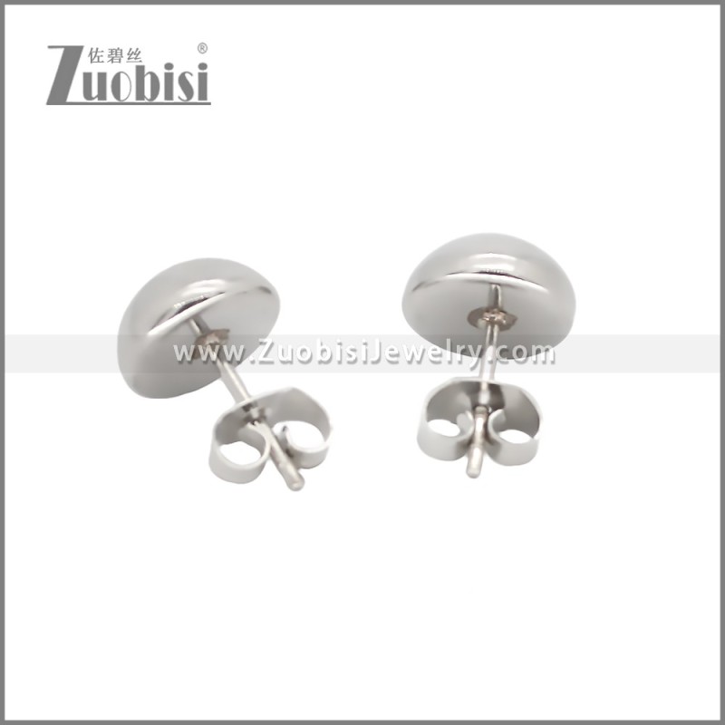 Stainless Steel Earrings e002348S2
