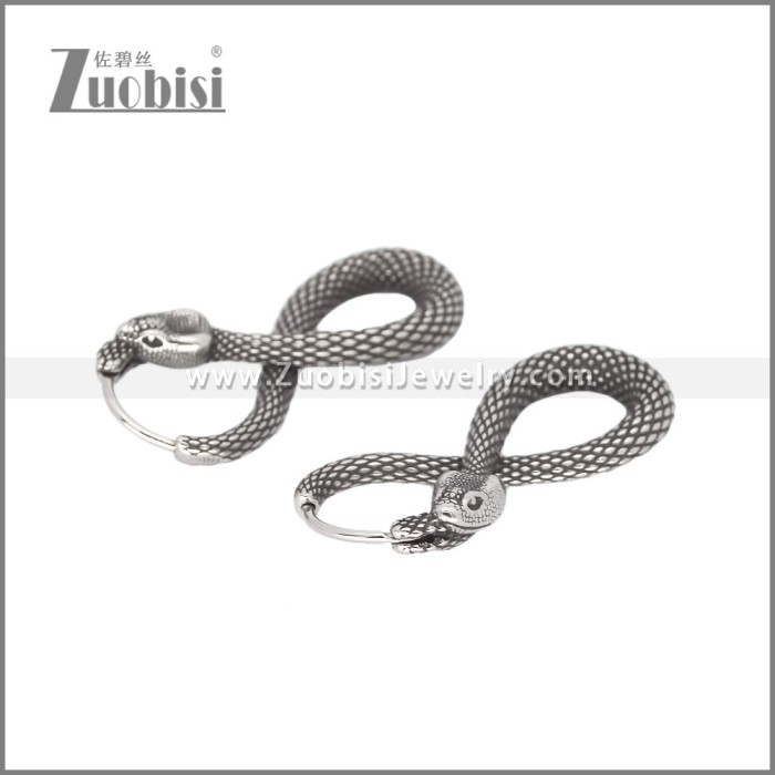 Stainless Steel Earrings e002340