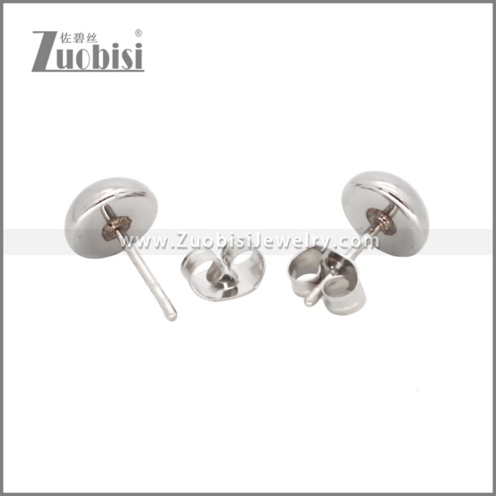 Stainless Steel Earrings e002348S1