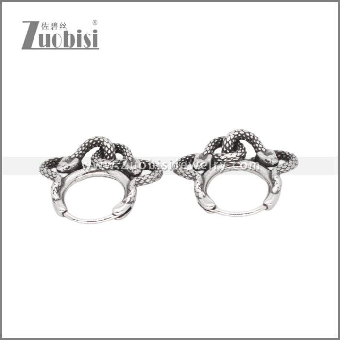 Stainless Steel Earrings e002328