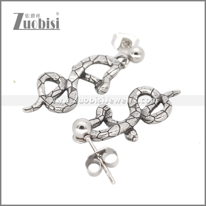 Stainless Steel Earrings e002352