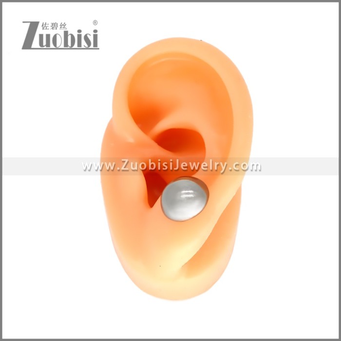 Stainless Steel Earrings e002348S3