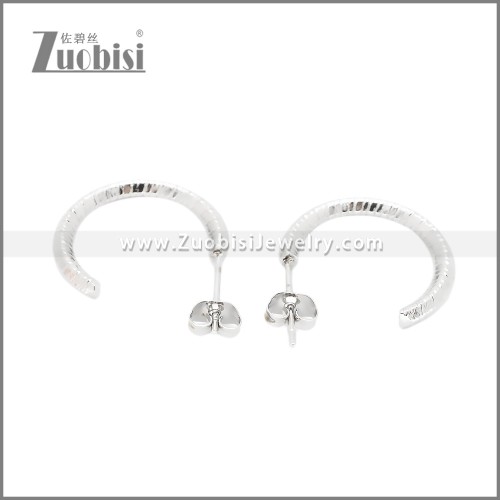 Stainless Steel Earrings e002382S