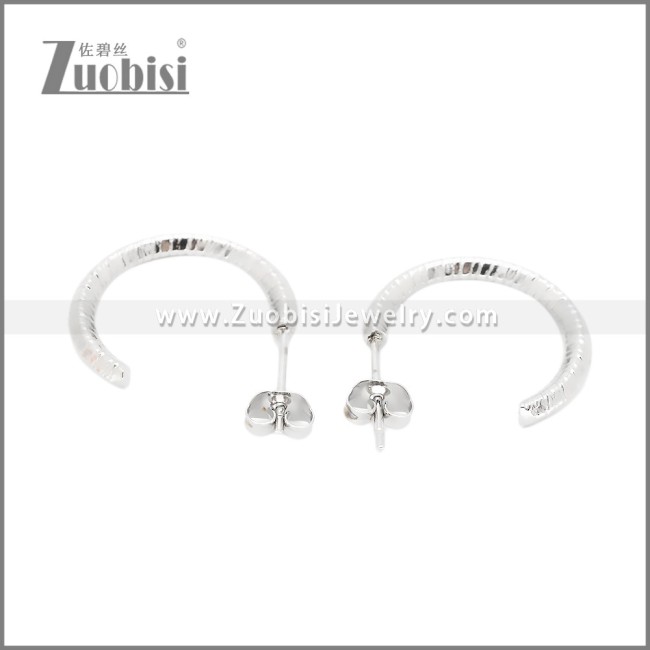 Stainless Steel Earrings e002382S