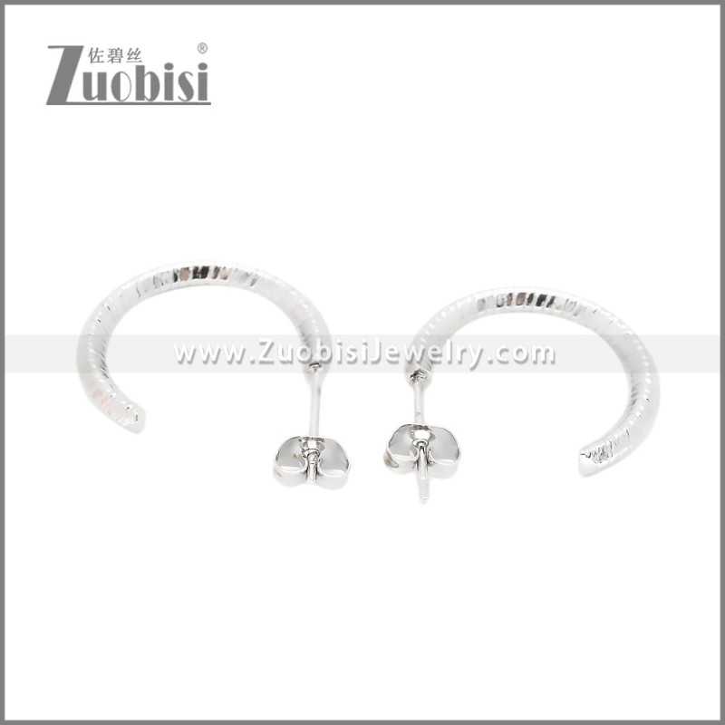 Stainless Steel Earrings e002382S