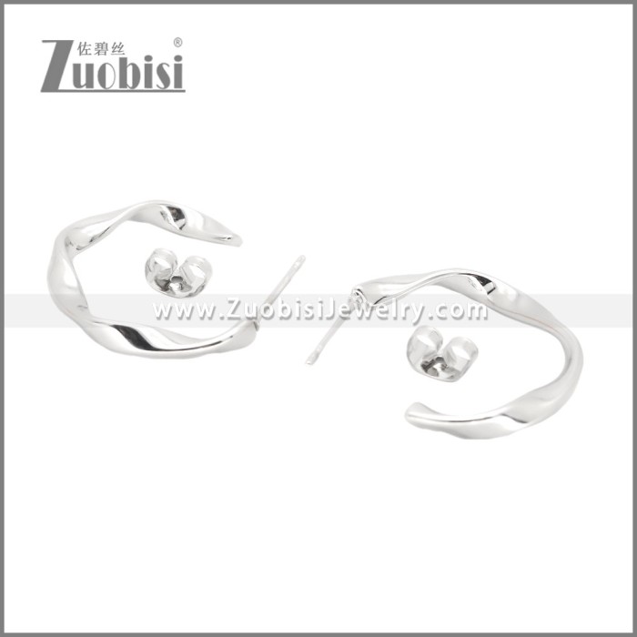 Stainless Steel Earrings e002381S