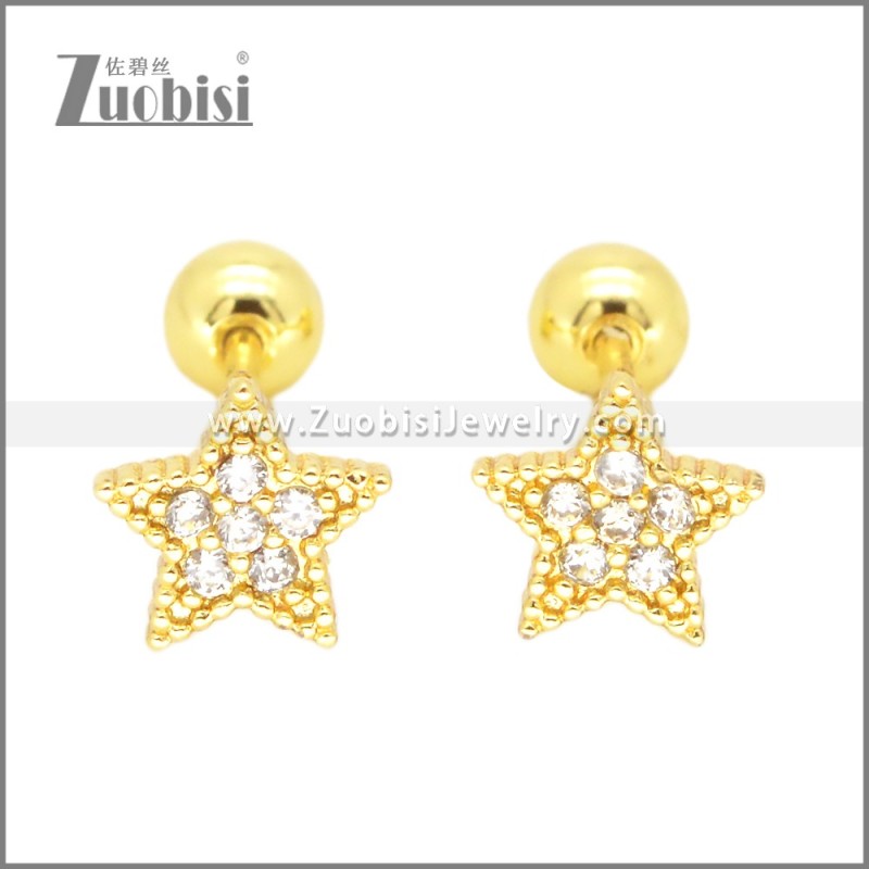 Stainless Steel Earrings e002377G