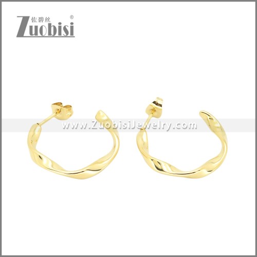 Stainless Steel Earrings e002381G