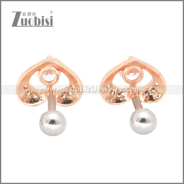 Stainless Steel Earrings e002406A