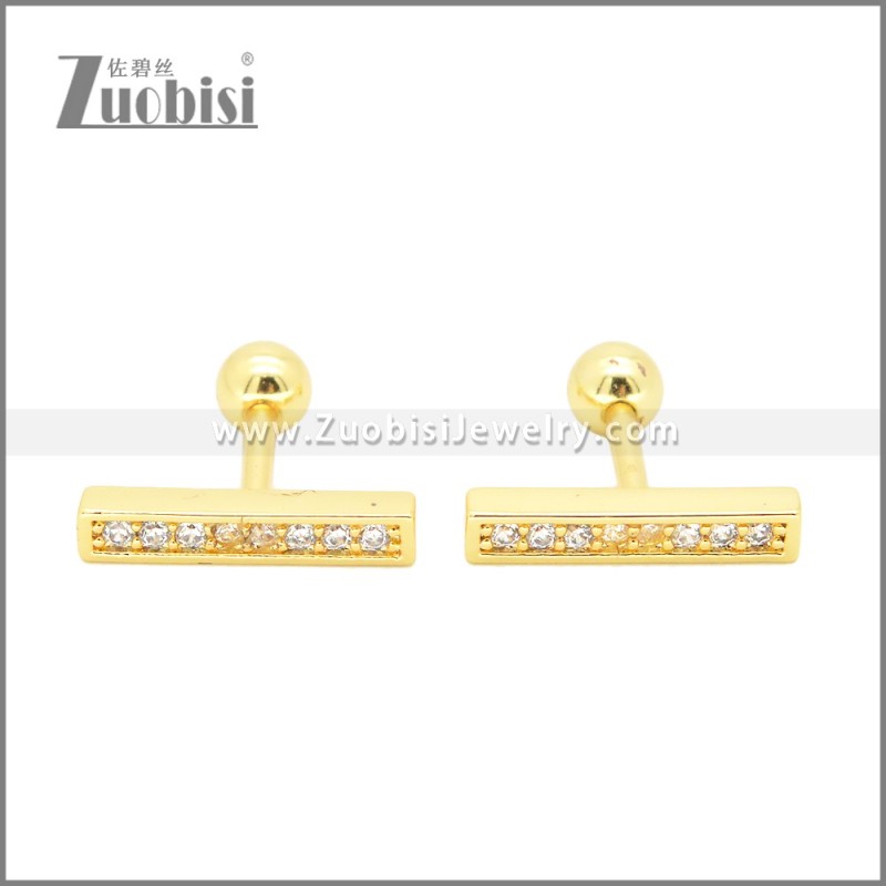 Stainless Steel Earrings e002401G
