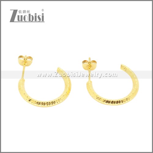 Stainless Steel Earrings e002382G