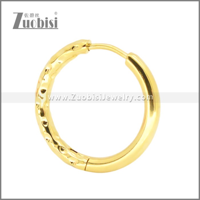 Stainless Steel Earrings e002378G
