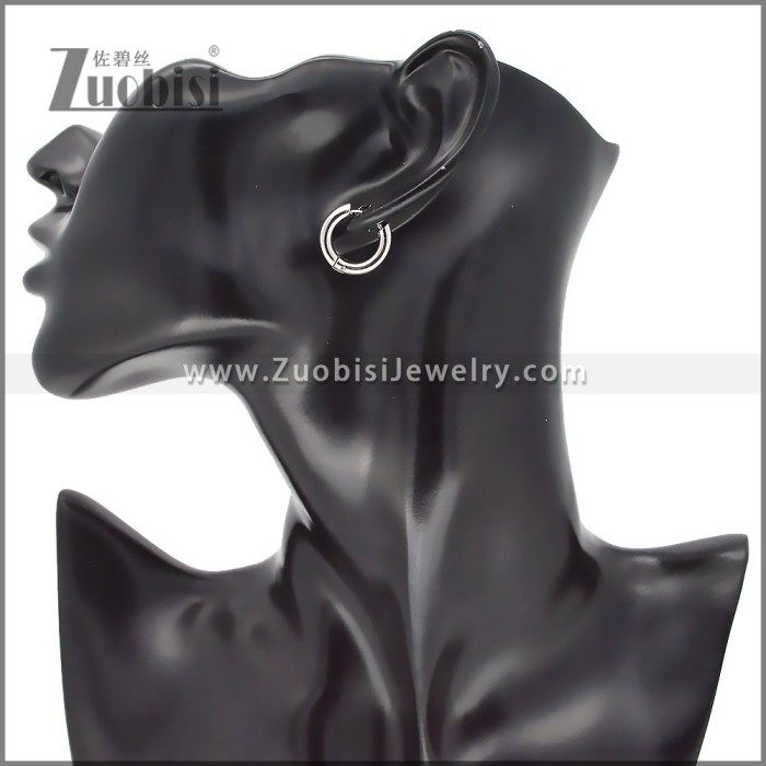 Stainless Steel Earrings e002385S