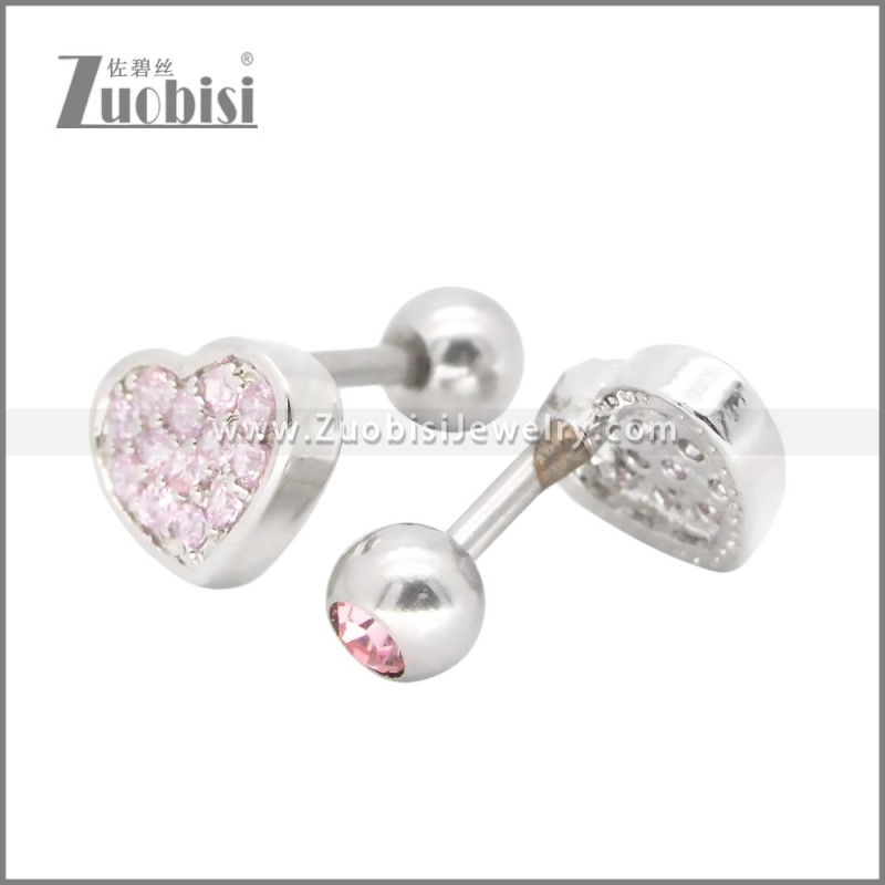 Stainless Steel Earrings e002395R