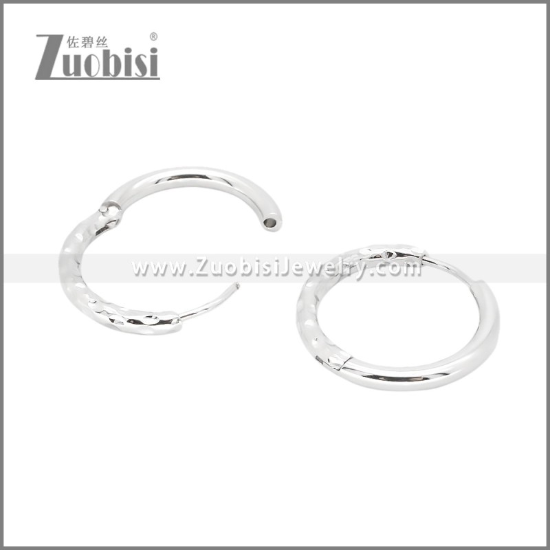 Stainless Steel Earrings e002378S