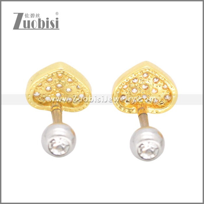 Stainless Steel Earrings e002398G