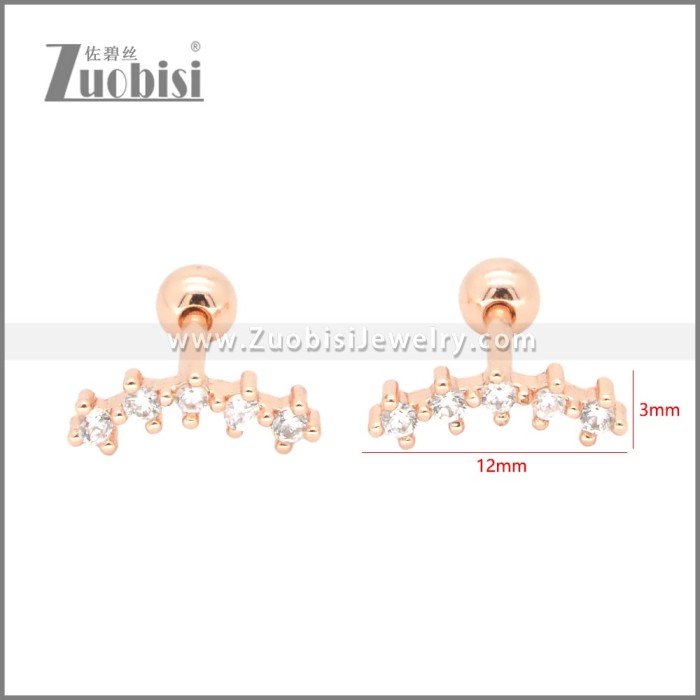 Stainless Steel Earrings e002409A
