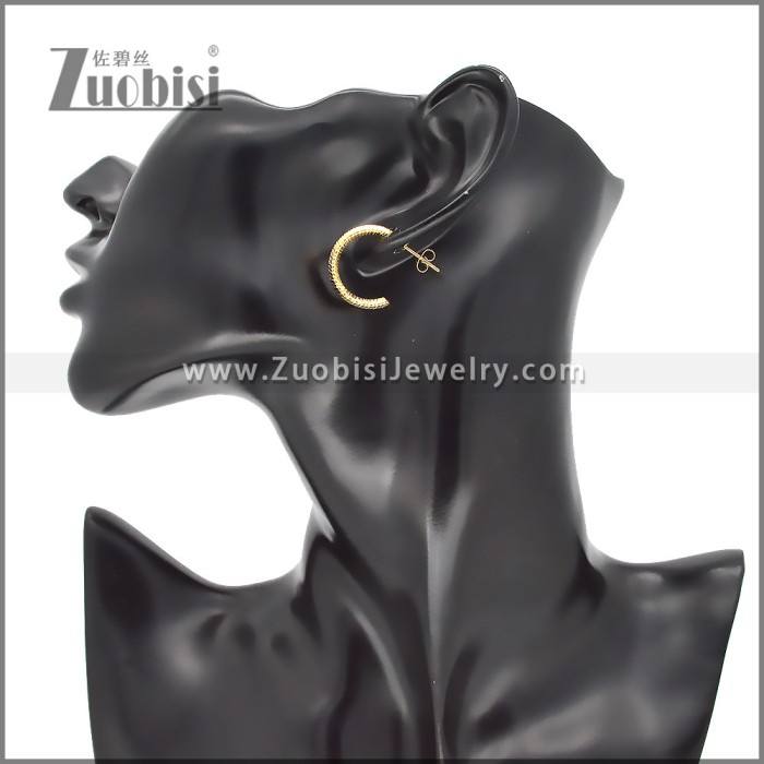 Stainless Steel Earrings e002382G