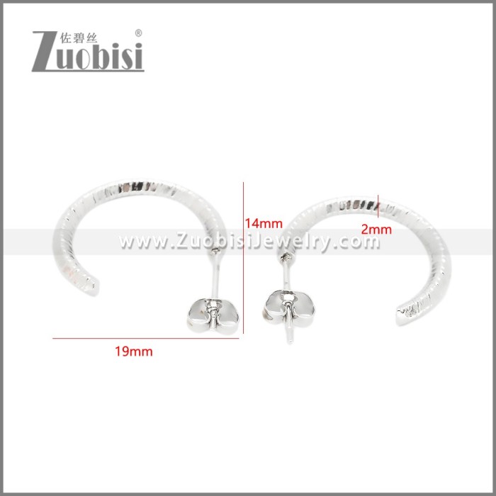 Stainless Steel Earrings e002382S