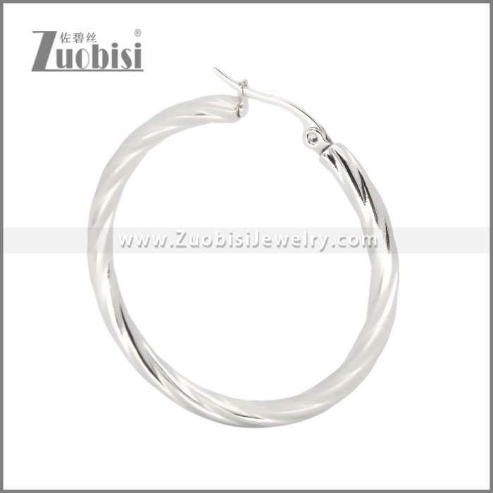 Stainless Steel Earrings e002384S