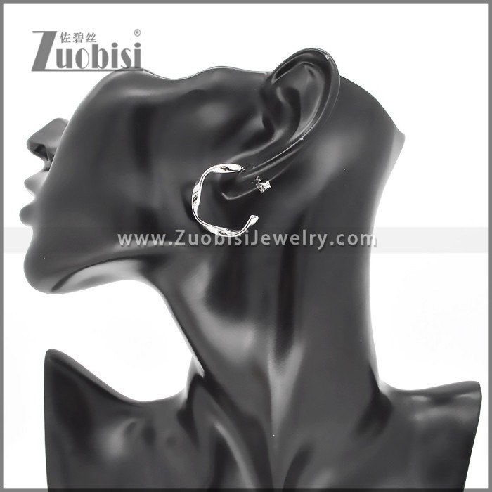 Stainless Steel Earrings e002381S