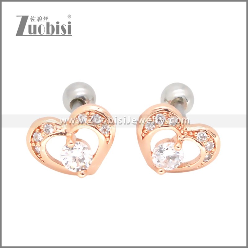 Stainless Steel Earrings e002406A