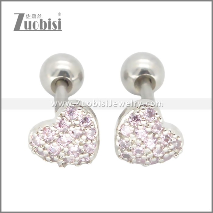 Stainless Steel Earrings e002394R