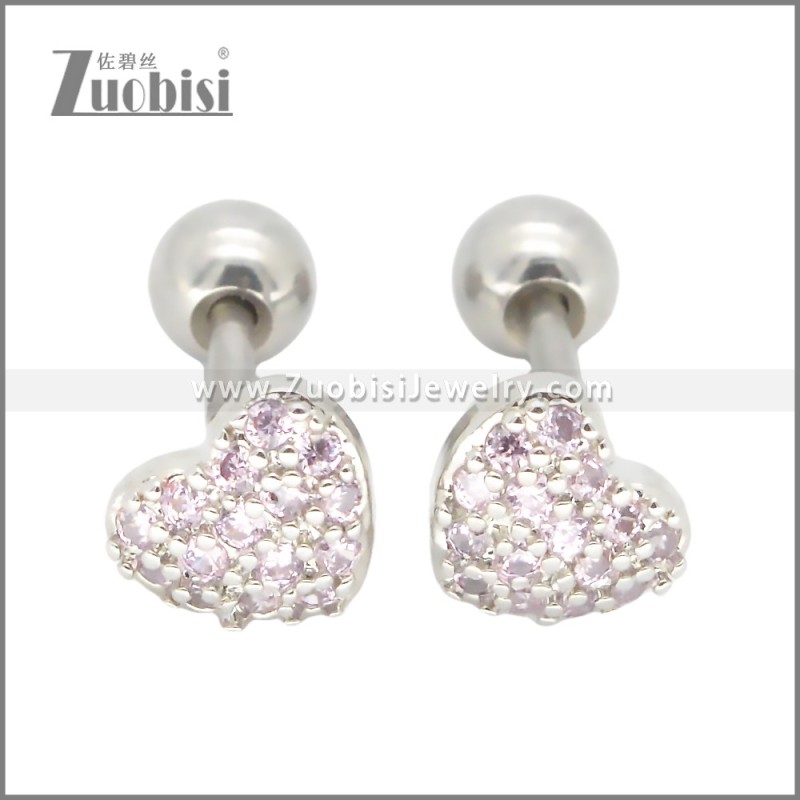 Stainless Steel Earrings e002394R