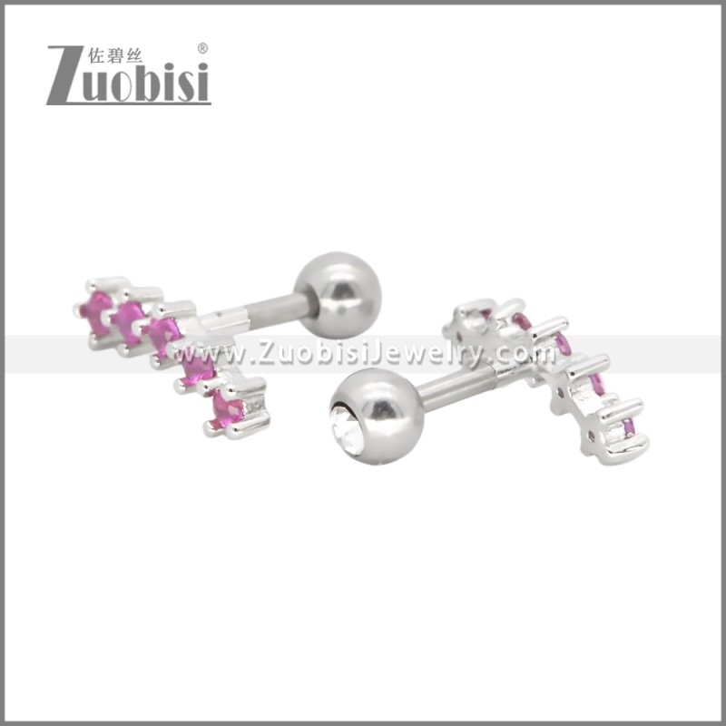 Stainless Steel Earrings e002407S6