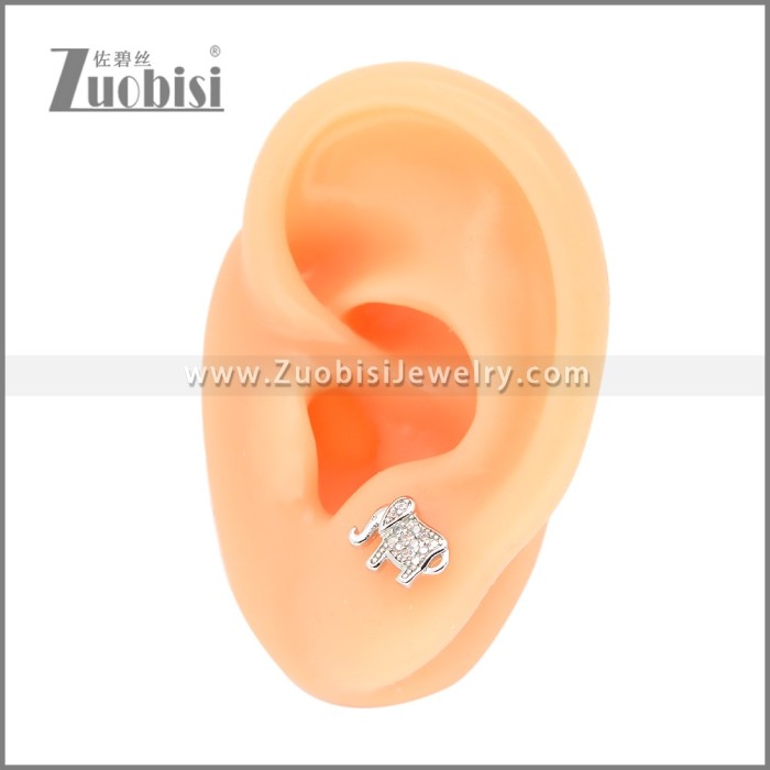 Stainless Steel Earrings e002400S