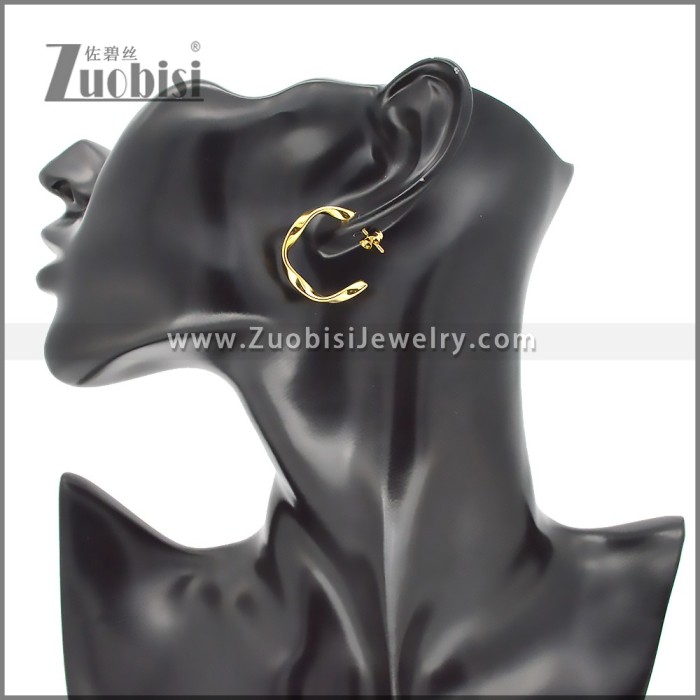 Stainless Steel Earrings e002381G